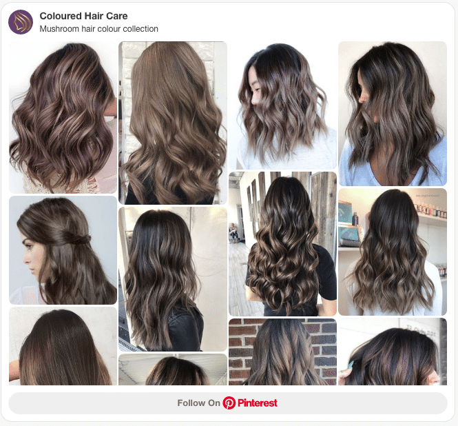 10 Mushroom Hair Colors That Make Brown Hair Anything but Basic 2 mushroom brown hair color pinterest board