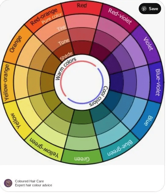 hair colour wheel pinterest