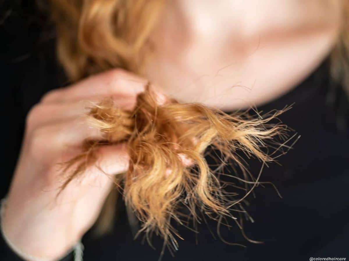 what causes split ends