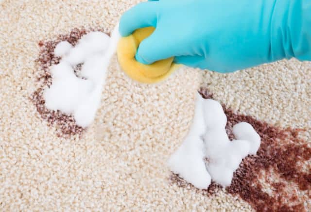 how to get hair dye out of carpet with sponge infographic