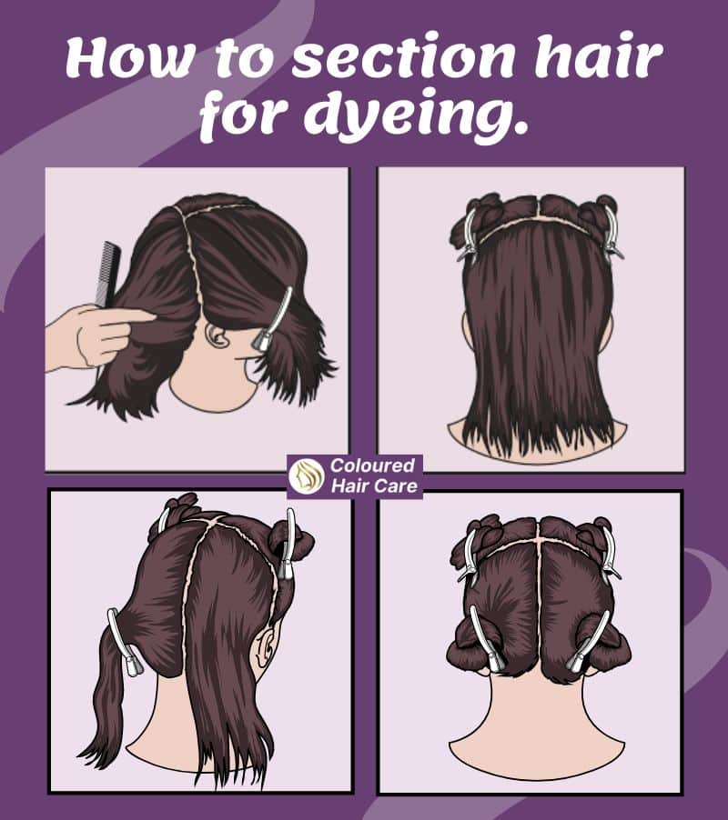 11 Tips For Hair Dyeing At Home - Get It Right First Time. 4 how to section hair for dyeing infographic