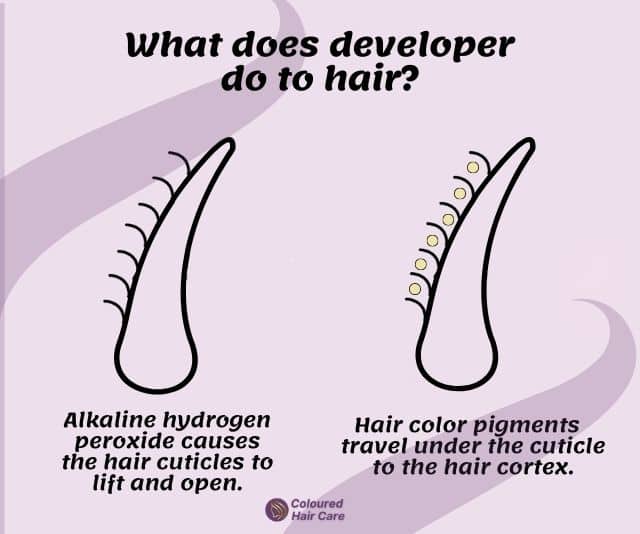 Can I Use Conditioner Instead Of Developer? Tips For AtHome Hair Dyeing