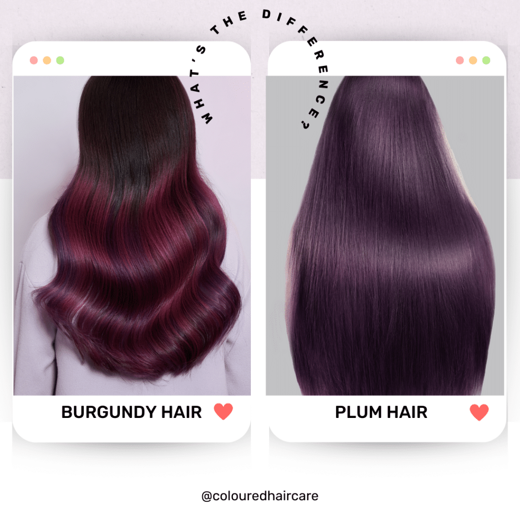 Plum Hair Perfection: 8 Exclusive Hair Color Styles & Care Tips. 3 what's the difference between plum hair and burgundy hair comparison