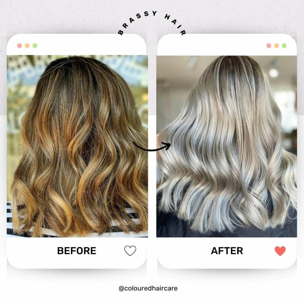 brassy hair beofre and after infographic