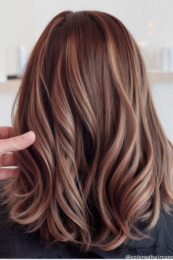 cinnamon brown streaks