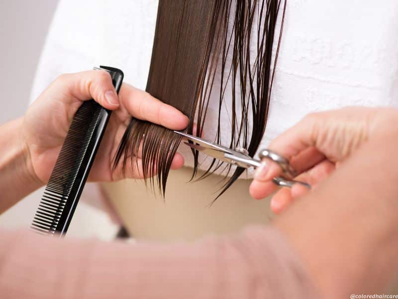 healthy hair habits regular trims
