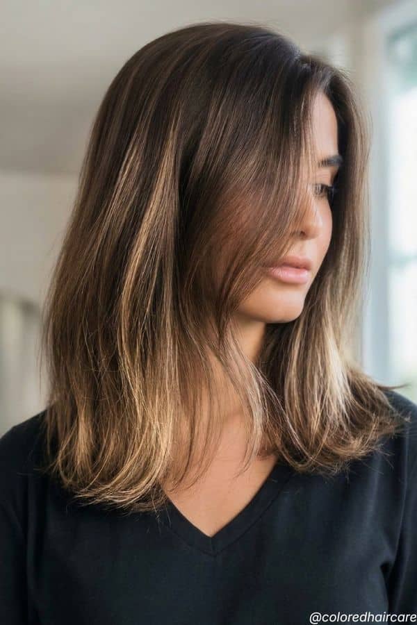 Chocolate Brown with Highlights