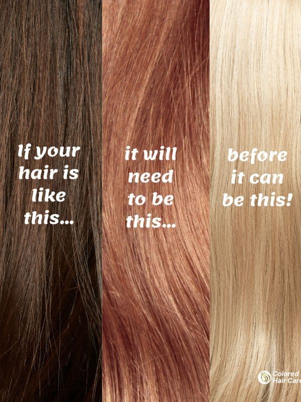 infographic showing the stages of hair lightening from brunette to warm orange to blonde