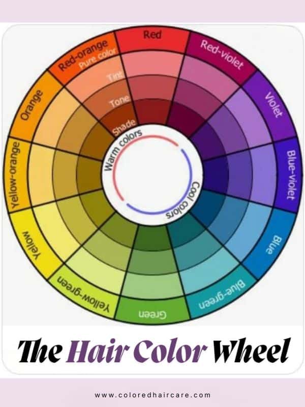 the hair color wheel showing different tones and shades