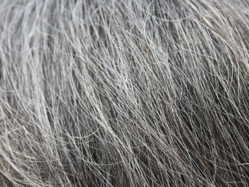 How to Grow Out Dyed Hair to White (Without Losing Your Confidence) 12 coarse gray hair image