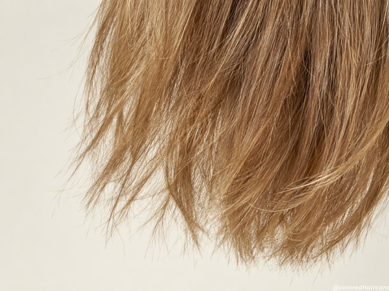 split ends hair